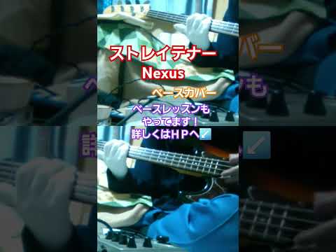 【ストレイテナー】Nexus　ベースカバー　#ストレイテナー #nexus #ひなっち