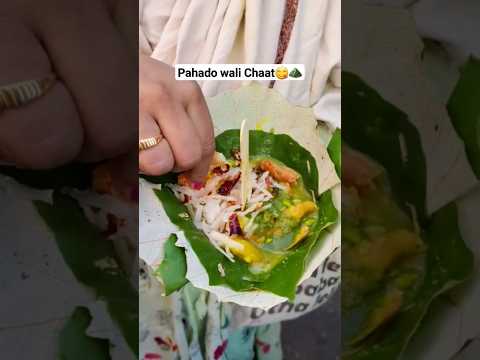 Must try chaat in Rishikesh ⛰️😋#viral #youtubeshorts #ytshorts #shortsvideo #youtube #chaat #food