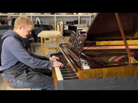 Peter Hanstein Beethoven Mondschein