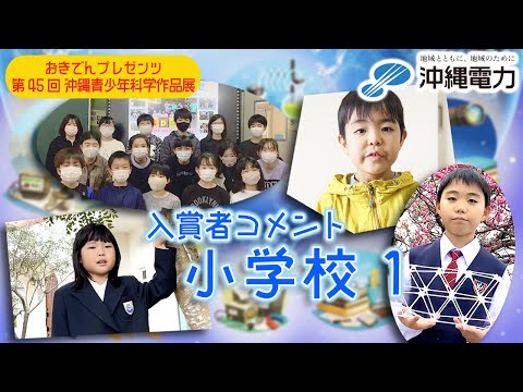 【第45回沖縄青少年科学作品展】入賞者コメント『小学校①』