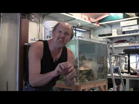 Wyoming Reef Tank Set Up, LA Fishguys, Episode 81, Part 4