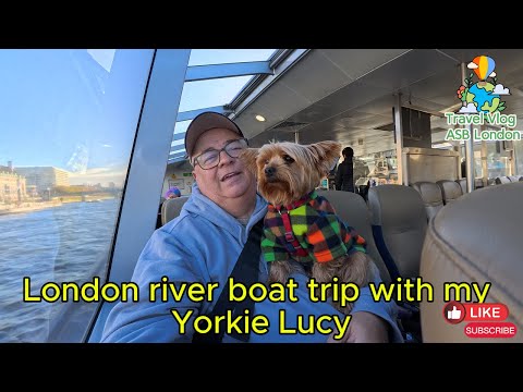 Ultimate Thames Riverboat Tour: The Top Way To Sightsee In Style!