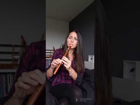 'Gratitude' | Native American Style Flute improvisation