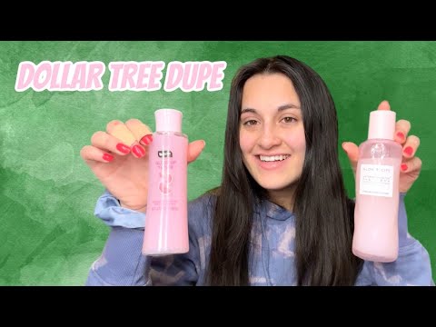 Dollar Tree Dupes | Spring Shopping Vlog