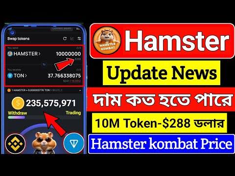 Hamster এর দাম কত হবে 🥰 hamster kombat price prediction । Hamster new update । hamster kombat price