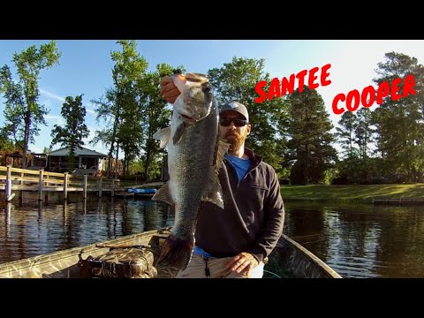 Bass Fishing Santee Cooper | 4-24-22 | #bassfishing #fishing #fyp