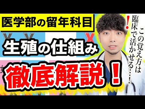 【動画で学習!!生殖の仕組み】医学生が試験対策で教科書使うのはもう古いです。動画で現役医師が徹底解説します。