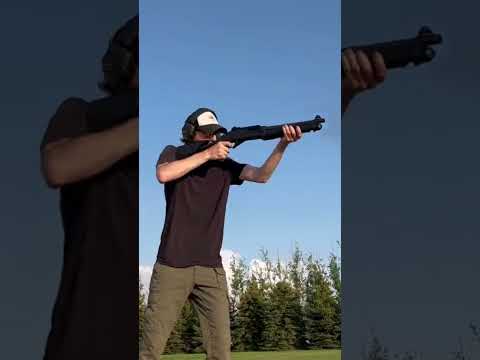 Aim North #gun #cz455 #22lr #Benelli #AJR (Watch the full video at Aim North)