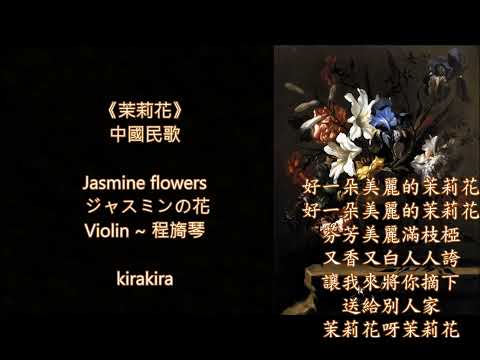 夢幻小提琴 🎻 茉莉花  🎻 Jasmine flowers  🎻 ジャスミンの花💐