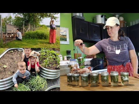 Canning Season Has Begun!