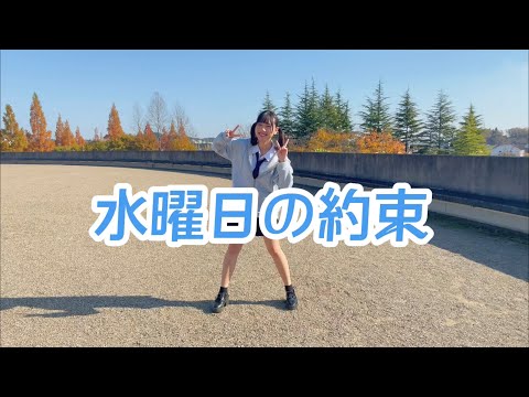 【踊ってみた】水曜日約束