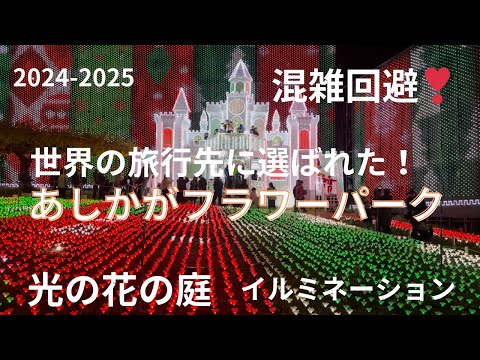 あしかがフラワーパーク イルミネーション 最新！一度は行ってみたい 圧巻