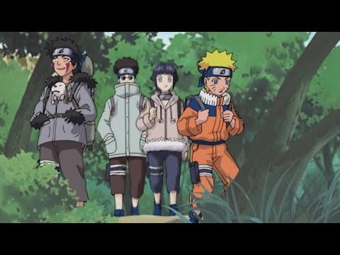 TEAM KURENAI AND NARUTO SENT ON A MISSION TO FIND BIKOCHU BEETLE