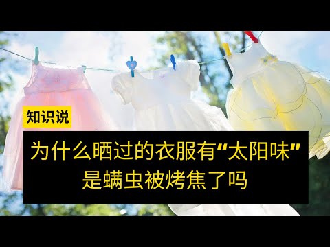 为什么晒过的衣服有“太阳味”，是螨虫被烤焦了吗？- 知识说