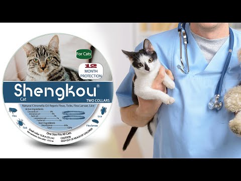 ShengKou flea and tick collar for cat