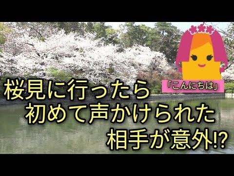 【初】🌸アルトFで桜を見にいったら声を掛けられた相手が意外😁ドライブ途中下車～!!お花見散歩🌸