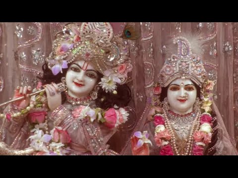 Deity Greetings and Srila Prabhupada Guru Puja - Wednesday 11th December 2024