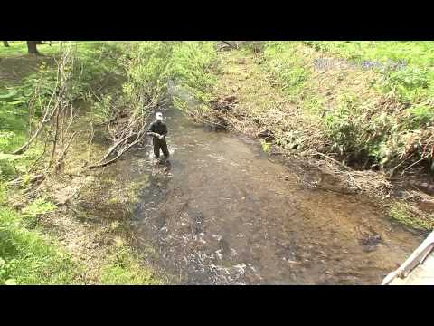 河川での採水方法