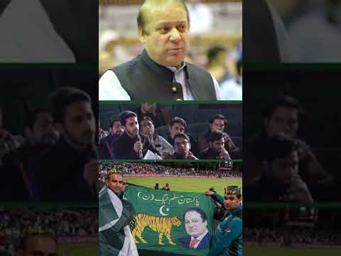 #pmln #supportmychannel