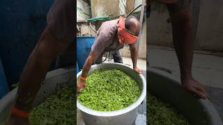 Palak Dal Making😍 #explore #viral #shortvideo #streetfood #delhi #nagpur #shorts #dal #palakdal