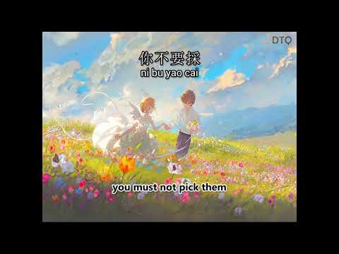 Timi Zhuo: 路邊的野花不要採 (國) "Don't pick the wildflowers by the roadside" 【English + Pinyin romanization】