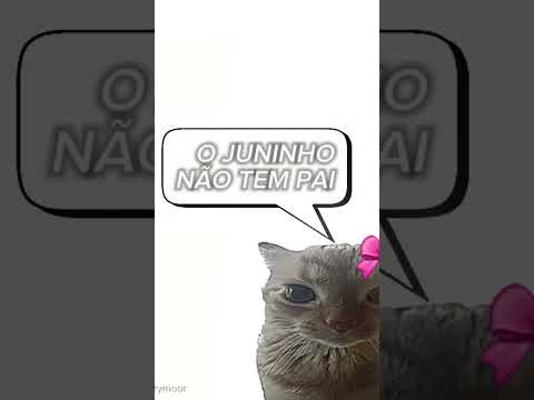 O Juninho não tem pai ... /O vdo n e meu