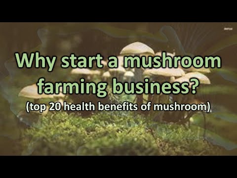 Why start a Mushroom Farming Business? 20 Amazing Benefits of Mushroom