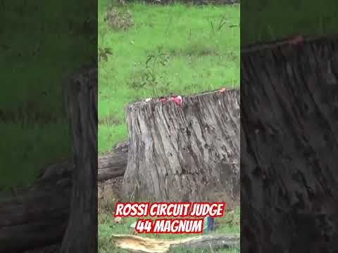 Rossi Circuit Judge #gun #ozziereviews #shooting #44magnum #rossi #rapidfire #carbine