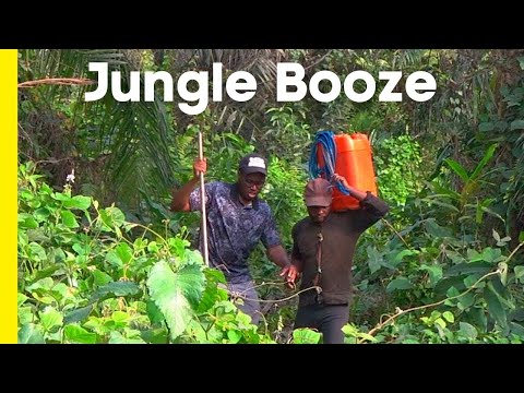 Shocking: Village Life in Nigeria (A Palm Wine Tapper)