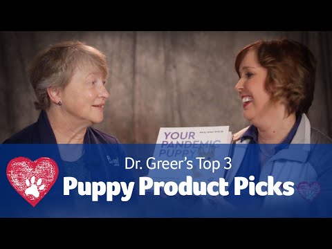 Dr. Greer's Top 3 Puppy Picks