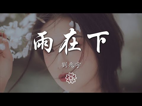 劉兆宇 - 雨在下『雨在下 雨在下 好想撥通你電話』【動態歌詞Lyrics】