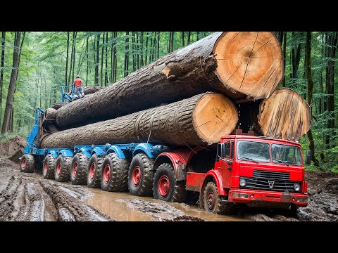 150 Most Powerful Heavy Equipment That Are At Another Level ▶1