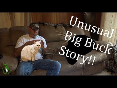 Rare and Unusual Whitetail Deer Buck! - Storytime with SCO