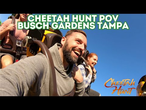 Cheetah Hunt POV - Busch Gardens