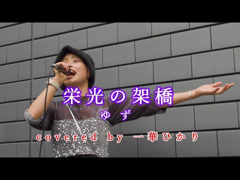 栄光の架橋 / ゆず  covered by 《一華ひかり》※概要欄にツアー情報あり