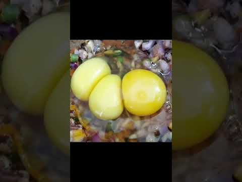 Yummy and Spicy Karandi Omlette | Egg Receipe | Rama's Yummy Kitchen |#shorts