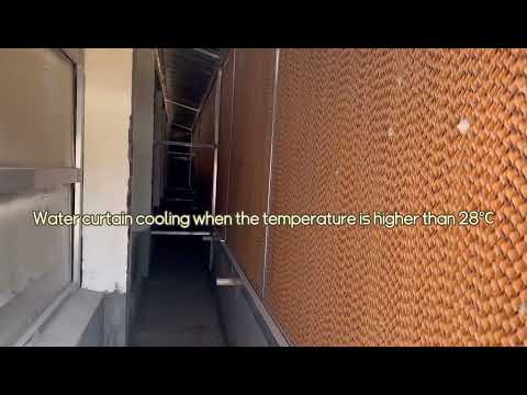 Agriculture animal husbandry and flower ventilation exhaust fan environment control system