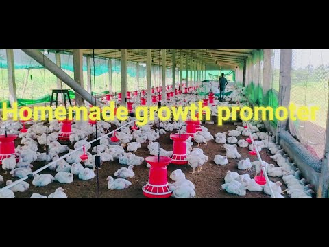 homemade growth promoter