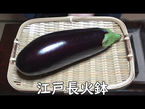 Grilled Black Beauty Eggplant, Broad Beans[Japanese food at "NAGA-HIBACHI"]