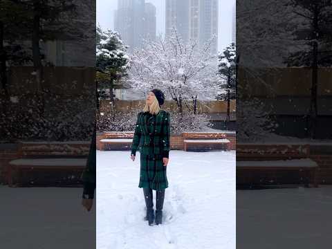 눈 온다 ☃️❄️🤍✨