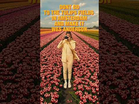 Amsterdam tulip fields Wes Anderson trend #shorts #cinematic