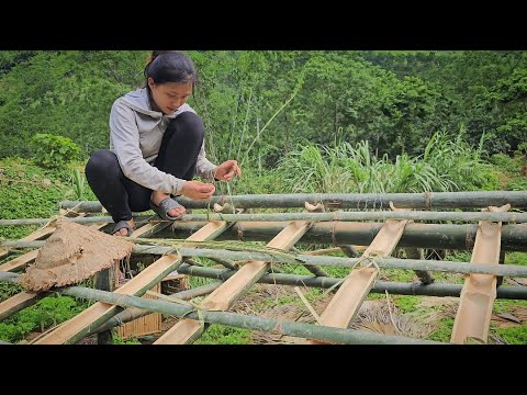 Daily life of a 17-year-old single mother: Building a Bamboo Kitchen || Ly Tieu Nu