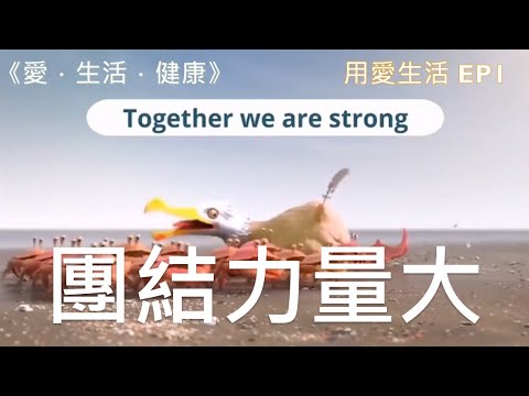 團結力量大｜用愛生活 EP1｜《愛．生活．健康》