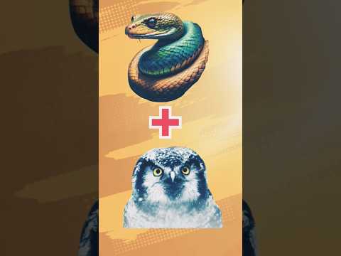 Snake + owl hybrid Video | Hybrid animation video | #viralvideo #shortvideo #shorts #short