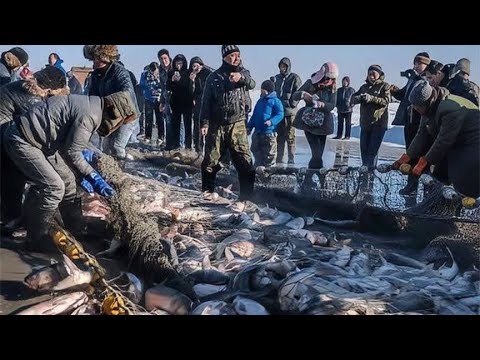 美国为消灭亚洲鲤鱼，学习中国东北查干湖冬捕，结果让人失望