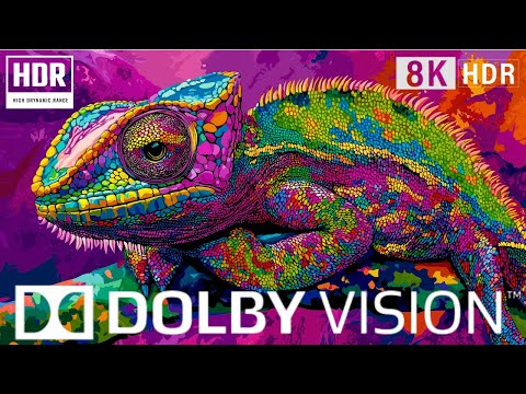 8K VIDEO ULTRA HD 240 fps, Dolby Vision (8k Video)!