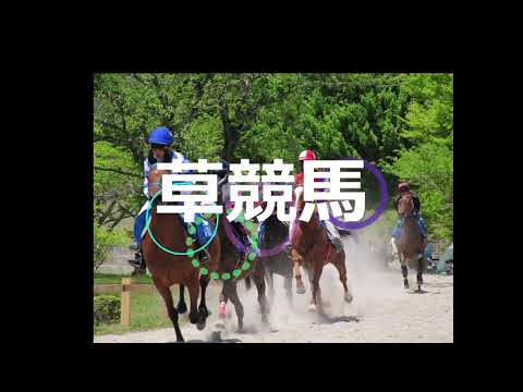 草競馬