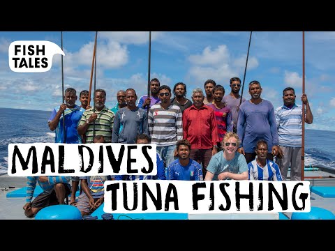 The Only REAL Sustainable TUNA Fishing | Bart van Olphen