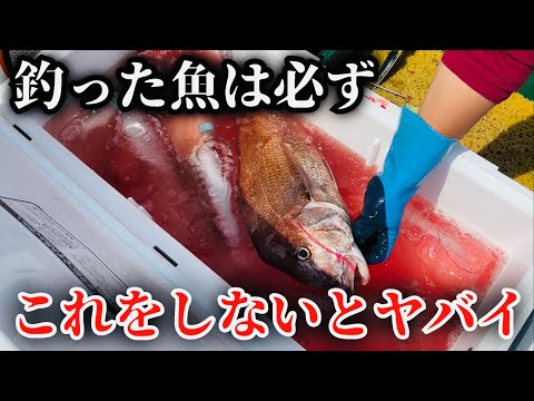 【必見（前編】釣り魚を簡単に美味しく食べたいなら見て下さい。