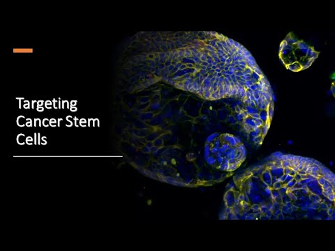 Targeting Cancer Stem Cells